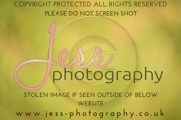 JES (184)