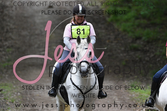 BHS (390)
