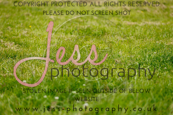 _MGM0440