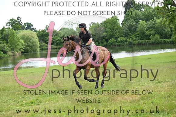 FR11 (350)