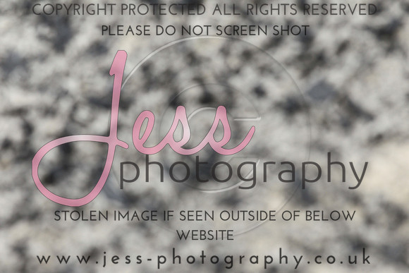 JES_6462