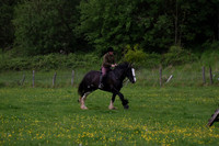 NFR (219)