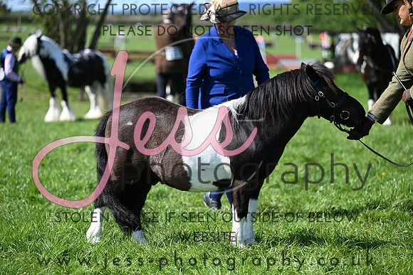 TGIS (149)