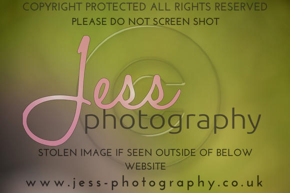 JES (156)