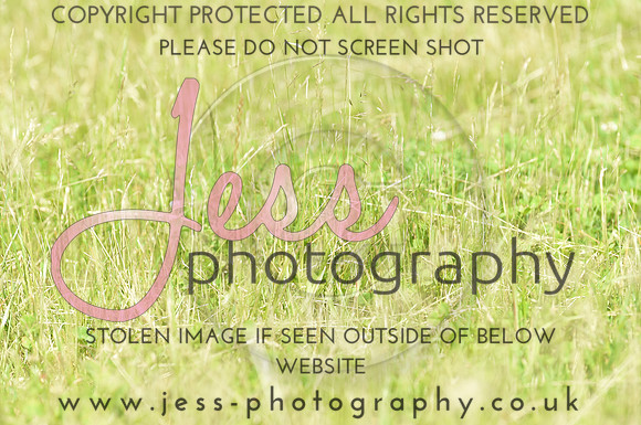 JES_8860