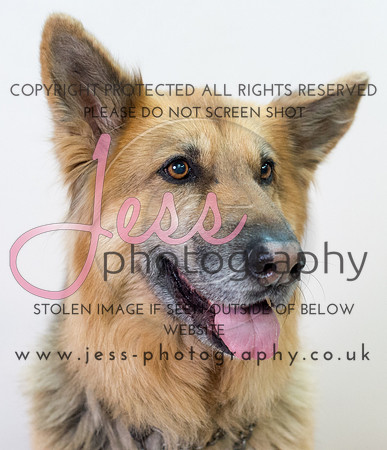 JES_6087