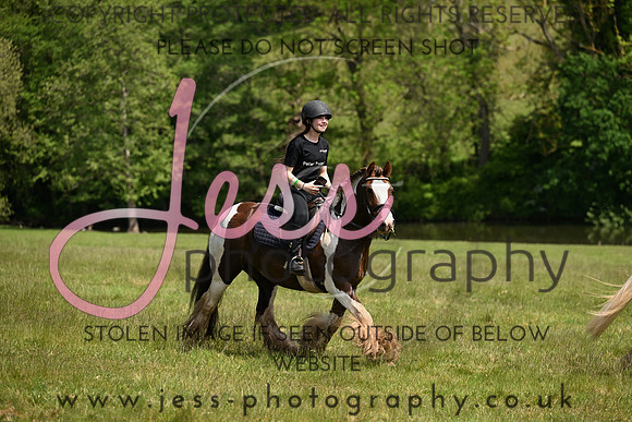 FR11 (292)