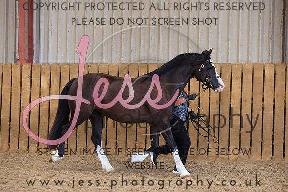 TGS_0920