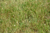 JPG_6541