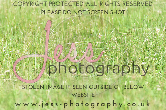 JES_8836