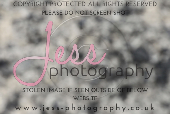 JES_6553