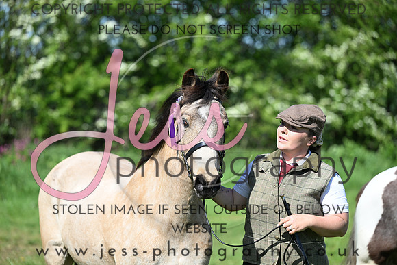 TGIS (176)