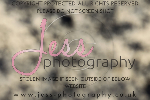 JES_5567