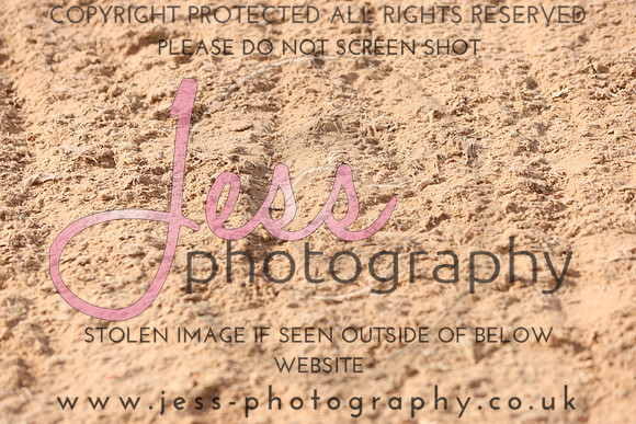 IMGL0275