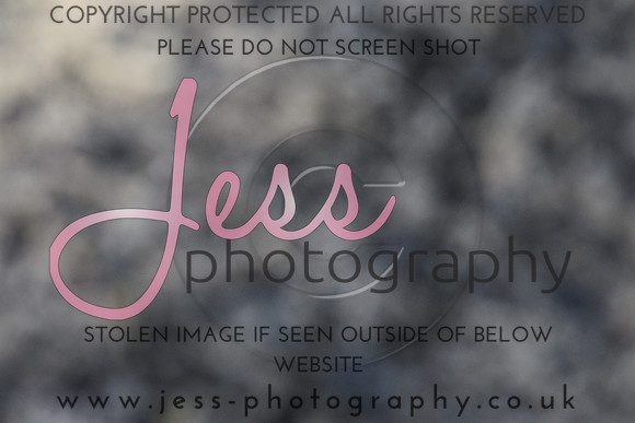 JES_5640