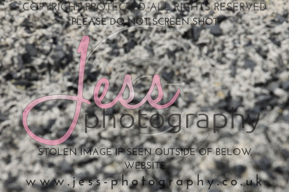 JES_6515