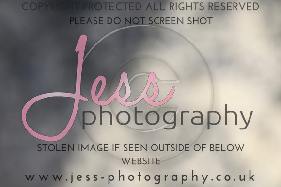 JES_5738