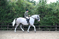 Riding Horse & Hunter