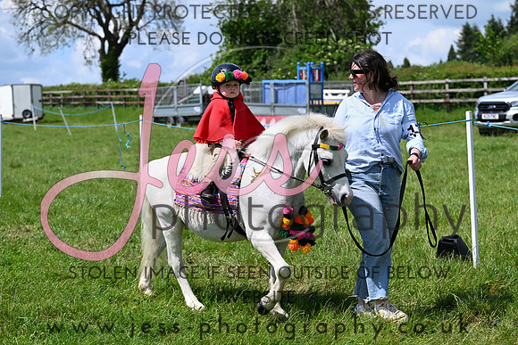 NCHPC2R1 (243)
