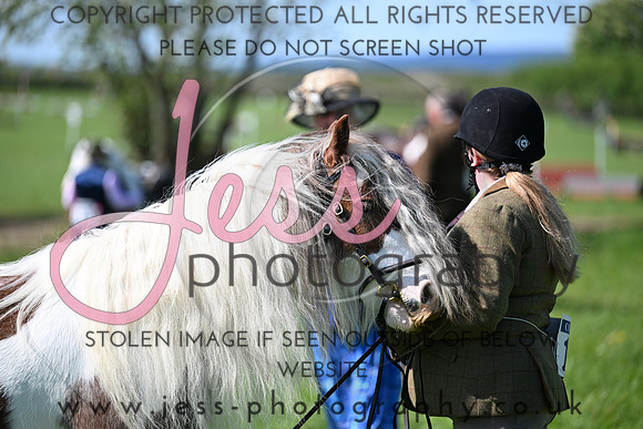 TGIS (141)