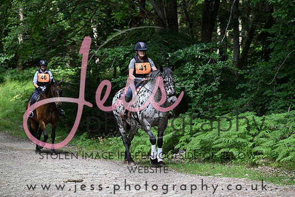 BHS (404)