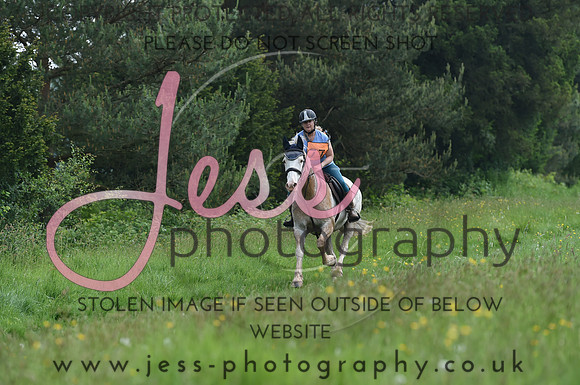 JES_8460