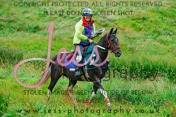 _MGM0382