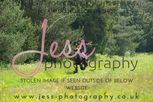 JES_8381