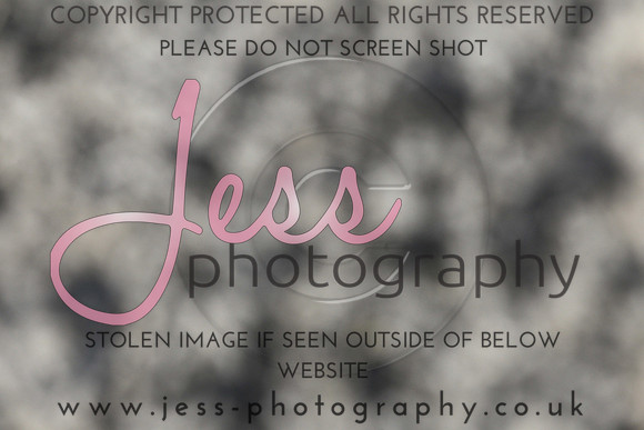 JES_6386