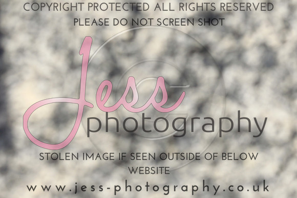 JES_5920
