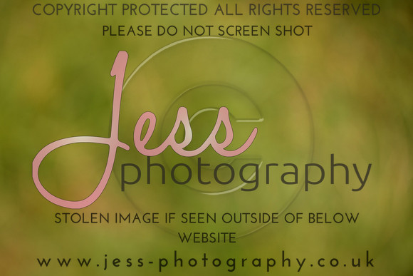 JES (52)