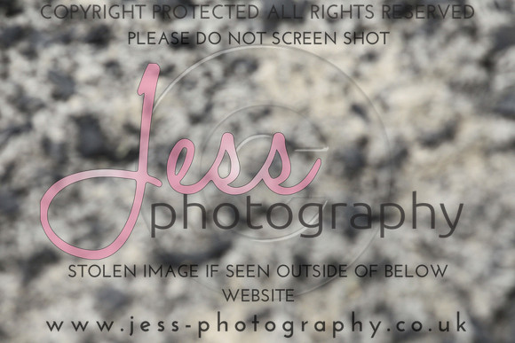 JES_6275