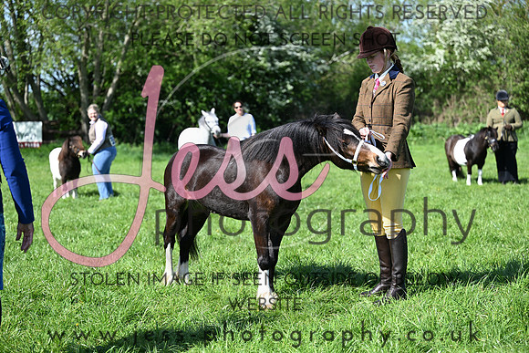 TGIS (233)