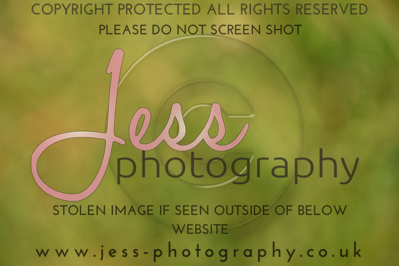 JES (117)