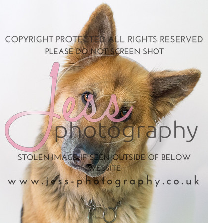JES_6098