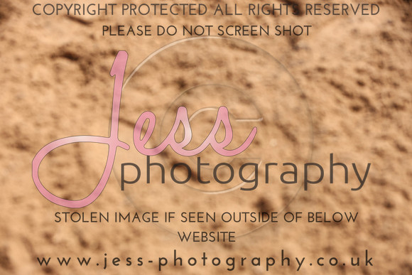 TSJ_1037