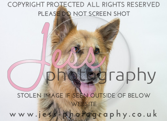 JES_6089