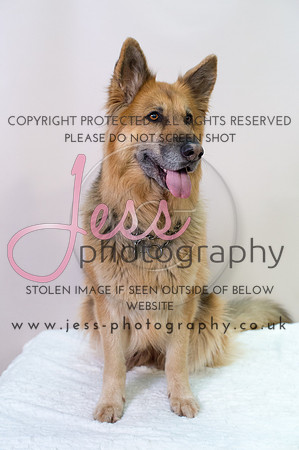 JES_6118