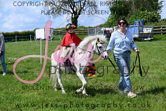 NCHPC2R1 (241)