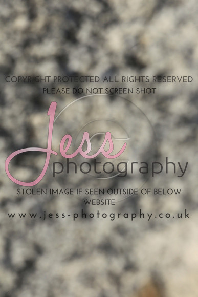 JES_6096