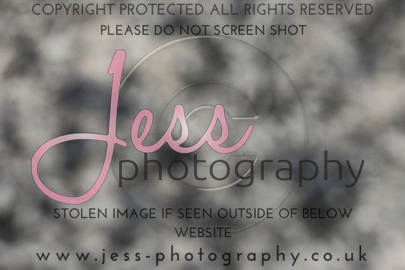 JES_6178