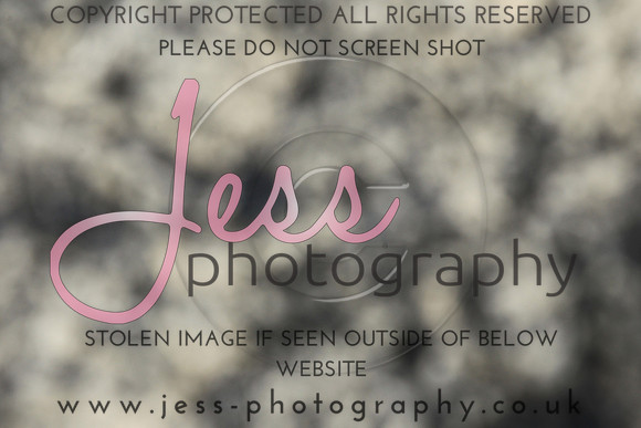 JES_6038