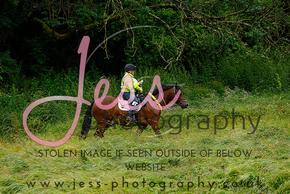_MGM0593