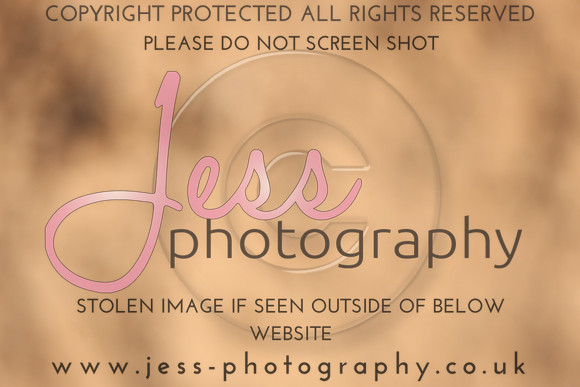 TSJ_0206
