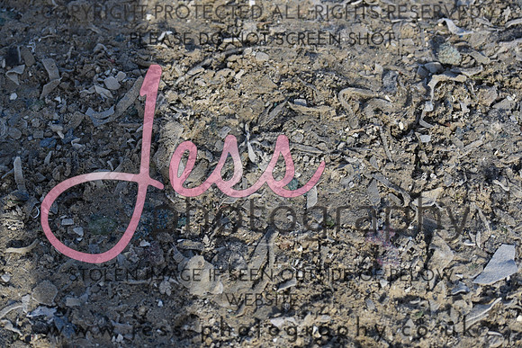 DSC_8238