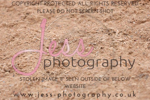 IMGM1037