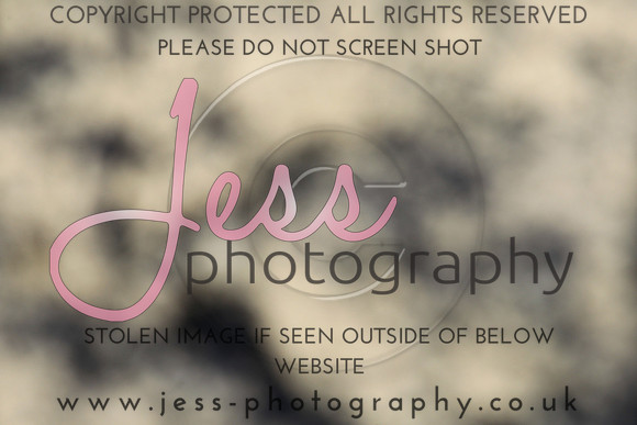 JES_5593
