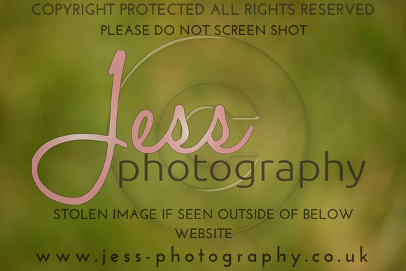 JES (94)