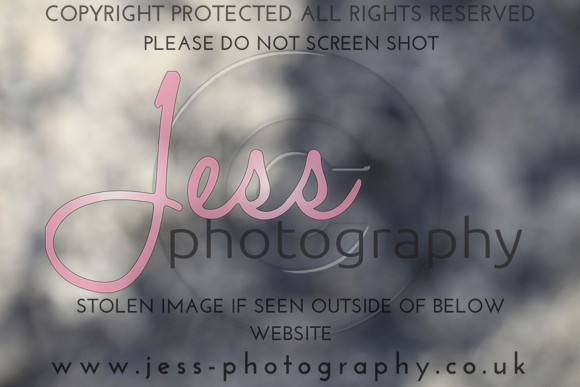 JES_5725