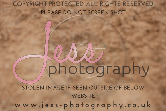 TGSJ0575